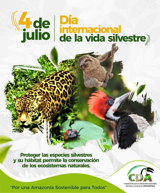 Gráfica alusiva a la noticia Día Internacional De La Vida Silvestre