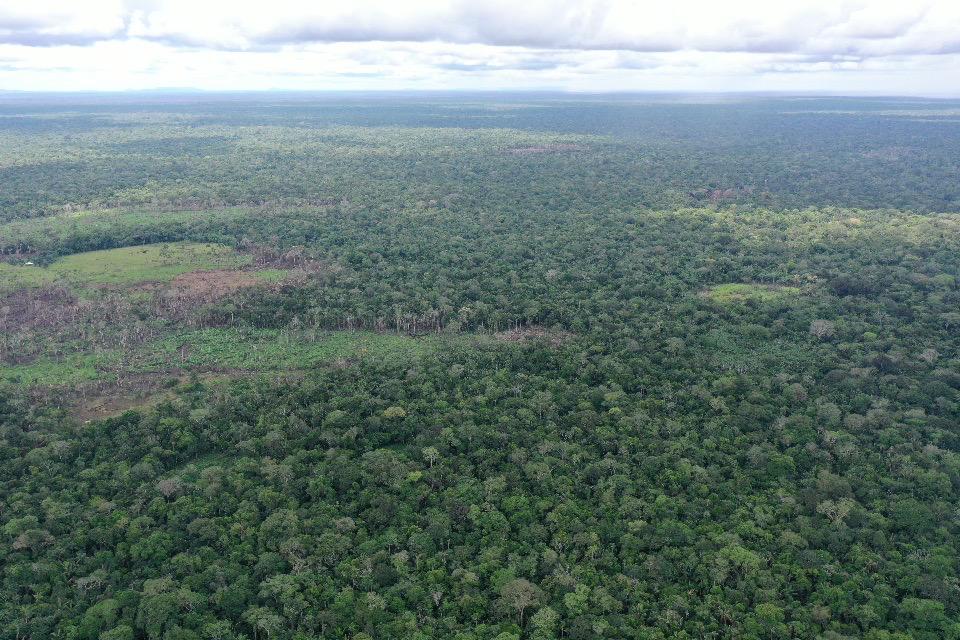 imagen alusiva a  EL APROVECHAMIENTO FORESTAL COMO ALTERNATIVA SOSTENIBLE