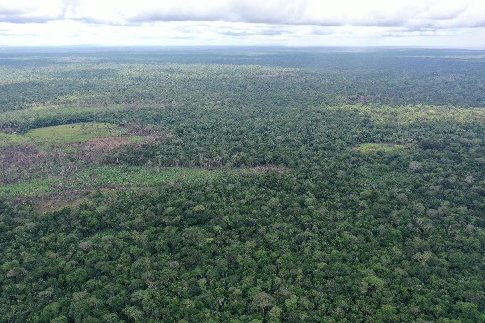 imagen alusiva a  EL APROVECHAMIENTO FORESTAL COMO ALTERNATIVA SOSTENIBLE