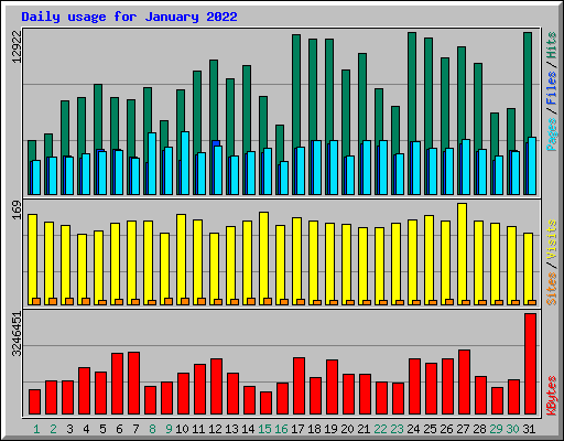 Daily usage for January 2022