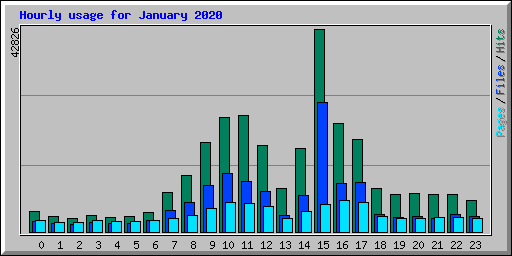Hourly usage for January 2020