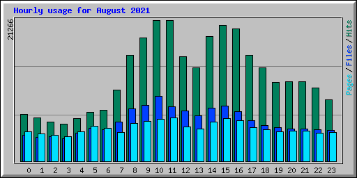 Hourly usage for August 2021