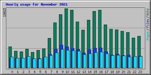 Hourly usage for November 2021