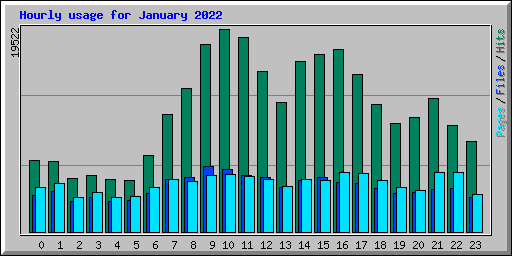 Hourly usage for January 2022